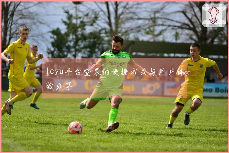 leyu平台登录的便捷方式与用户体验分享