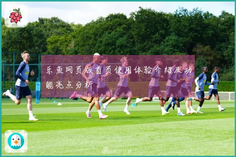 乐鱼网页版首页使用体验介绍及功能亮点分析