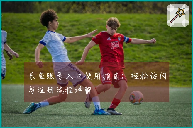 乐鱼账号入口使用指南:轻松访问与注册流程详解