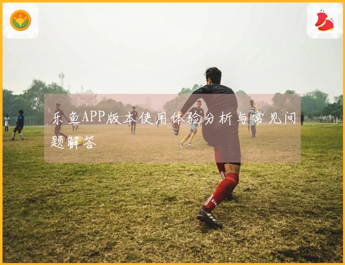 乐鱼APP版本使用体验分析与常见问题解答