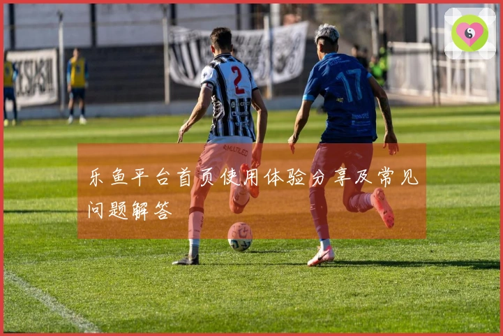 乐鱼平台首页使用体验分享及常见问题解答