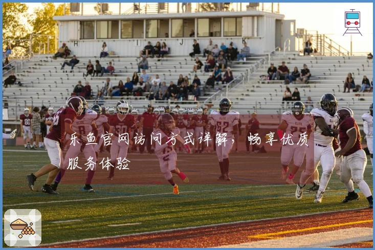 乐鱼官网访问方式详解，畅享优质服务体验